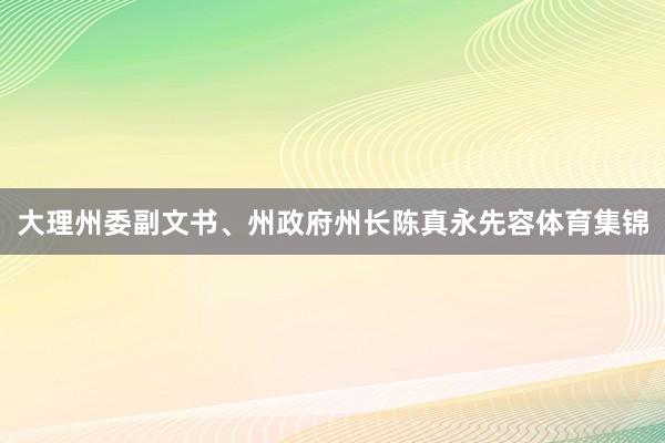 大理州委副文书、州政府州长陈真永先容体育集锦