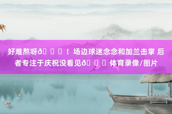 好难熬呀😅！场边球迷念念和加兰击掌 后者专注于庆祝没看见😂体育录像/图片