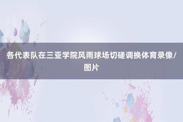 各代表队在三亚学院风雨球场切磋调换体育录像/图片