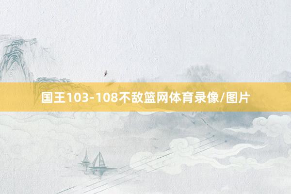 国王103-108不敌篮网体育录像/图片