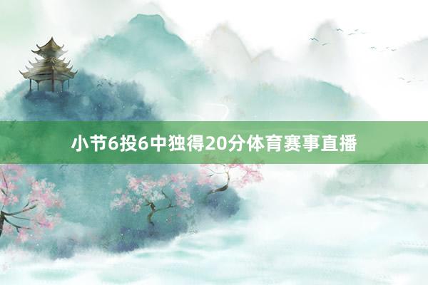 小节6投6中独得20分体育赛事直播