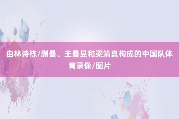 由林诗栋/蒯曼、王曼昱和梁靖崑构成的中国队体育录像/图片