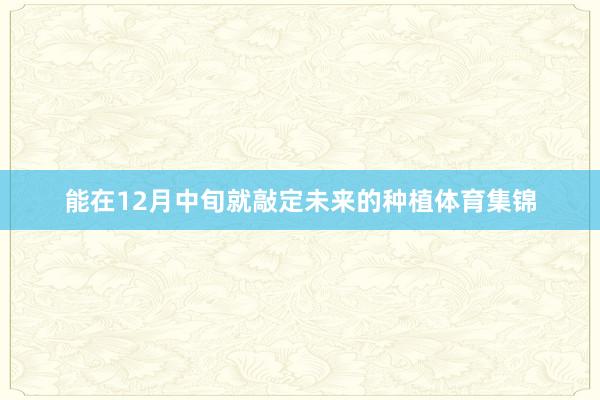 能在12月中旬就敲定未来的种植体育集锦