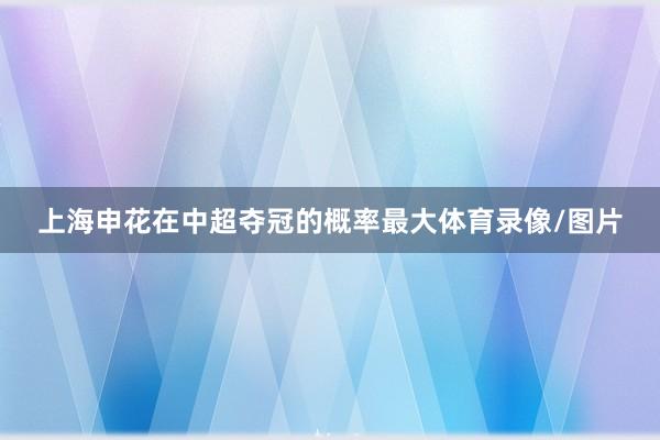 上海申花在中超夺冠的概率最大体育录像/图片