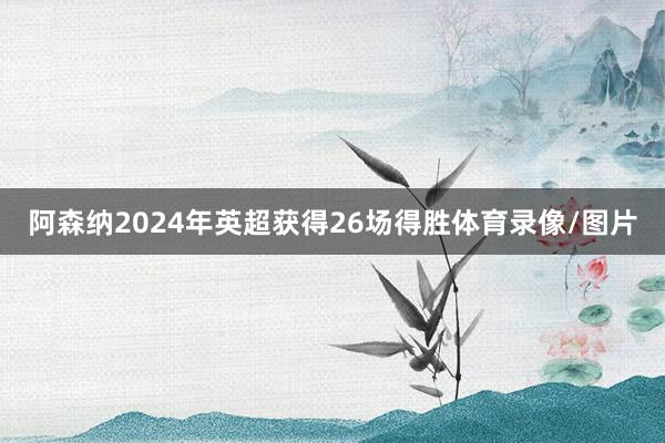 阿森纳2024年英超获得26场得胜体育录像/图片