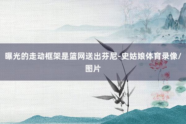 曝光的走动框架是篮网送出芬尼-史姑娘体育录像/图片