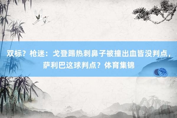 双标？枪迷：戈登踢热刺鼻子被撞出血皆没判点，萨利巴这球判点？体育集锦