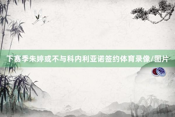 下赛季朱婷或不与科内利亚诺签约体育录像/图片