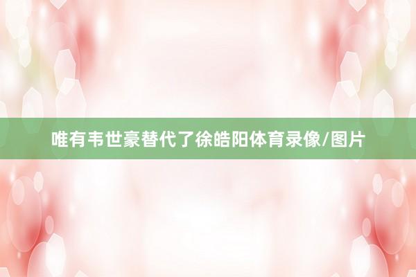 唯有韦世豪替代了徐皓阳体育录像/图片