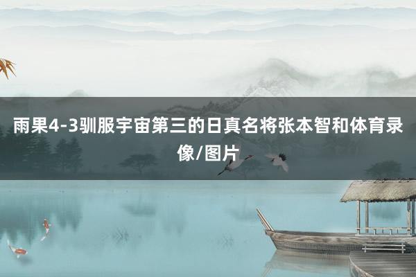 雨果4-3驯服宇宙第三的日真名将张本智和体育录像/图片